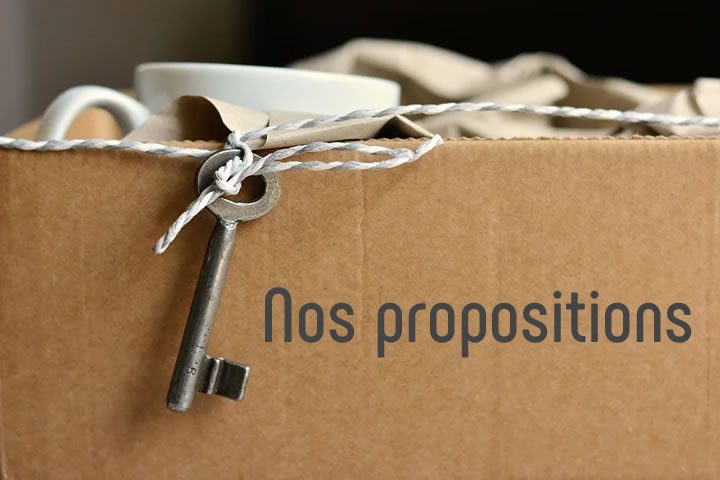 mutation_demenagement_carton_propositions