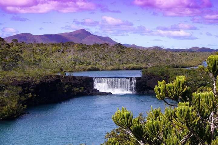 nelle caledonie