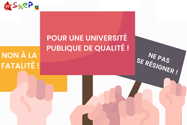 universite qualite