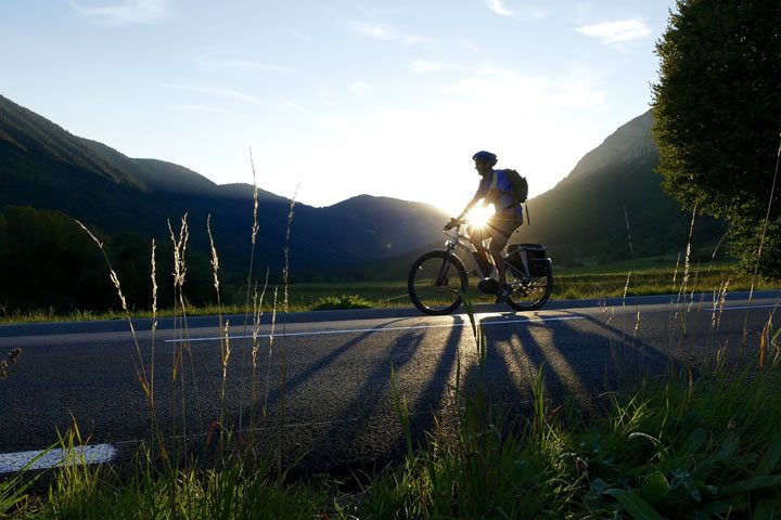 velo-fmd